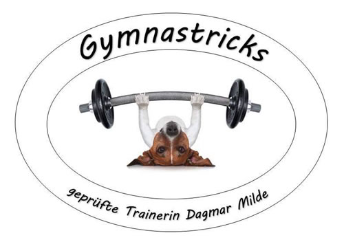 gymnastricks